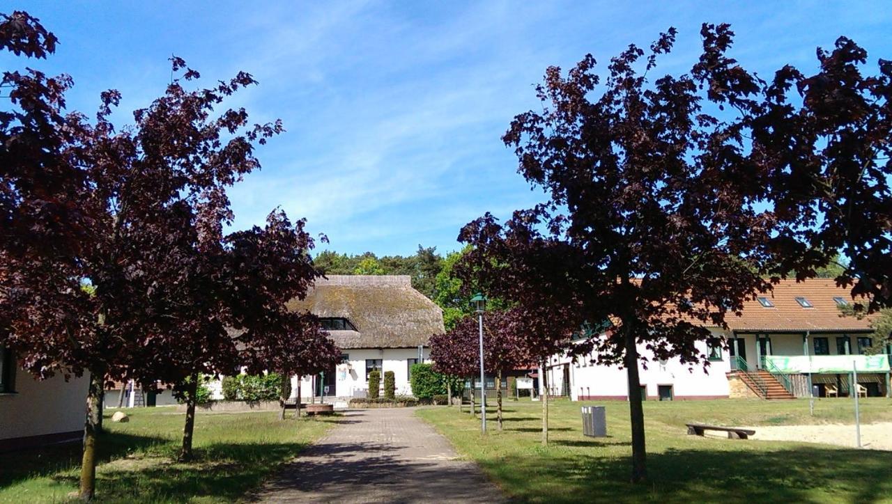 Jugendtours-Feriendorf Ummanz Exterior foto