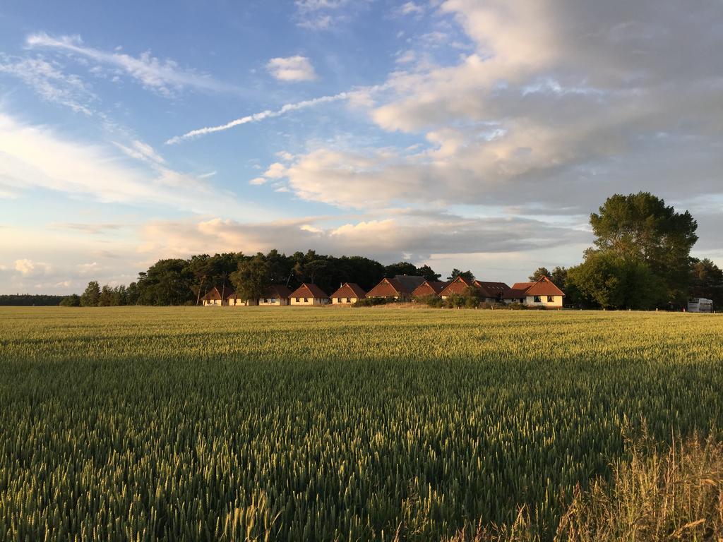 Jugendtours-Feriendorf Ummanz Exterior foto